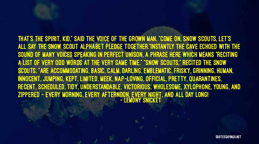 Meek In Spirit Quotes By Lemony Snicket Meek In Spirit Quotes By Lemony Snicket