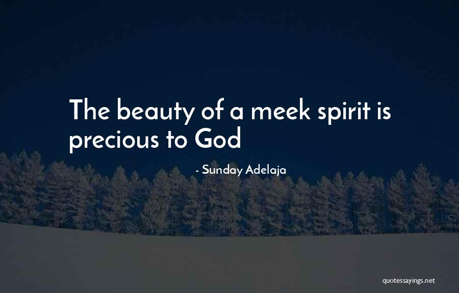Meek In Spirit Quotes By Sunday Adelaja Meek In Spirit Quotes By Sunday Adelaja