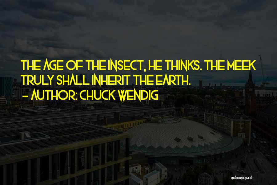 Meek Inherit The Earth Quotes By Chuck Wendig