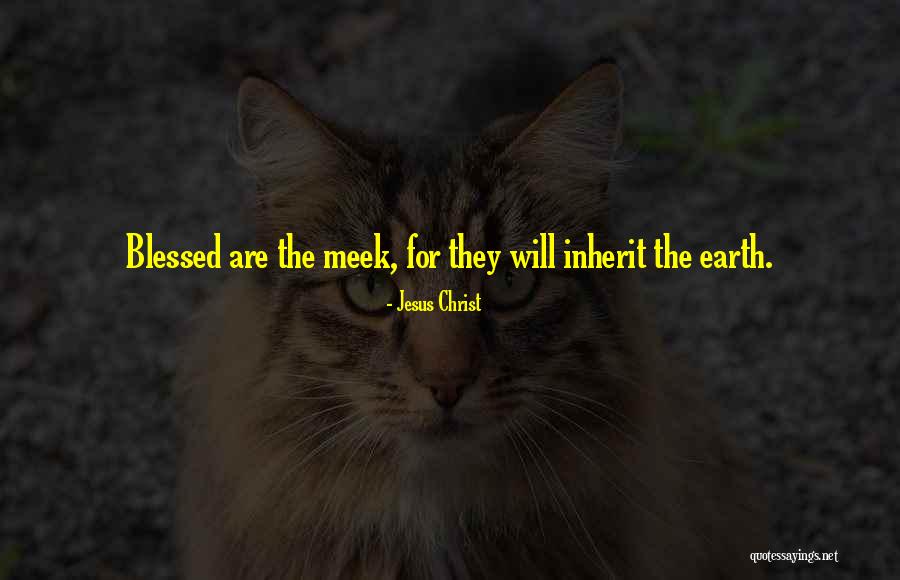 Meek Inherit The Earth Quotes By Jesus Christ