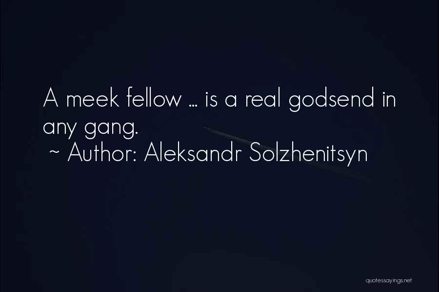 Meek Quotes By Aleksandr Solzhenitsyn