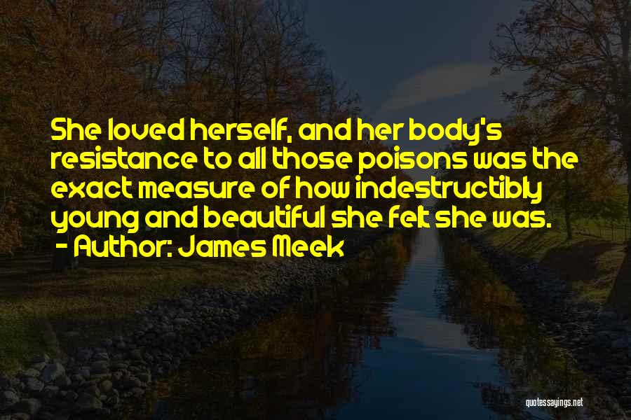 Meek Quotes By James Meek