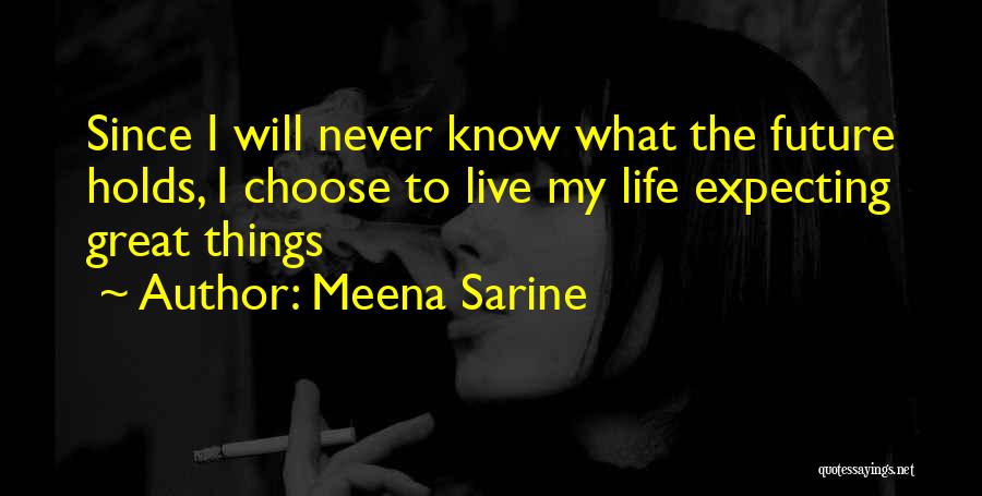 Meena Sarine Quotes 2263738