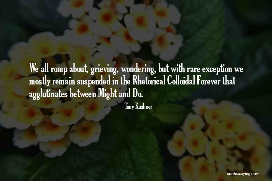 Meerdink Knives Quotes By Tony Kushner Meerdink Knives Quotes By Tony Kushner