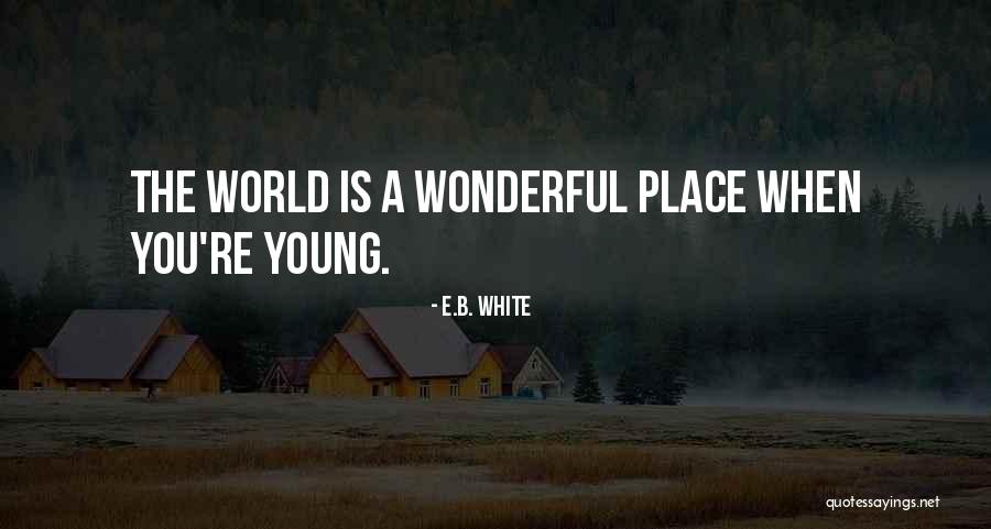 Meessen De Clercq Quotes By E.B. White Meessen De Clercq Quotes By E.B. White