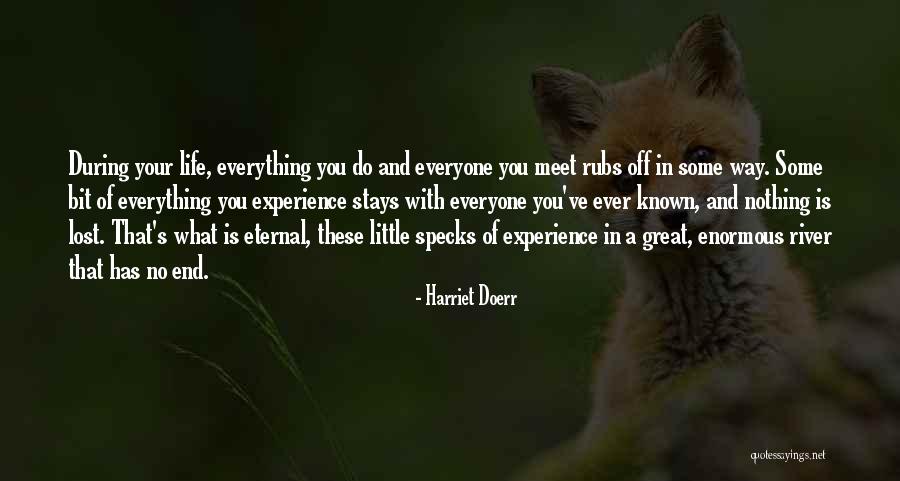 Meet During Quotes By Harriet Doerr Meet During Quotes By Harriet Doerr