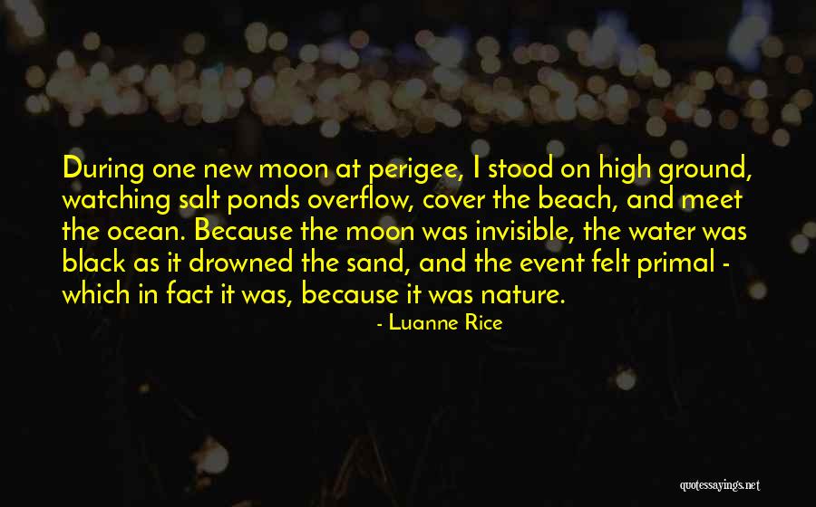Meet During Quotes By Luanne Rice Meet During Quotes By Luanne Rice