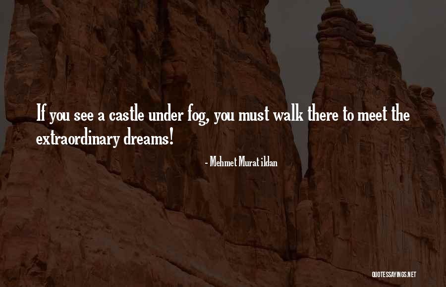 Meet Me In Your Dreams Quotes By Mehmet Murat Ildan Meet Me In Your Dreams Quotes By Mehmet Murat Ildan