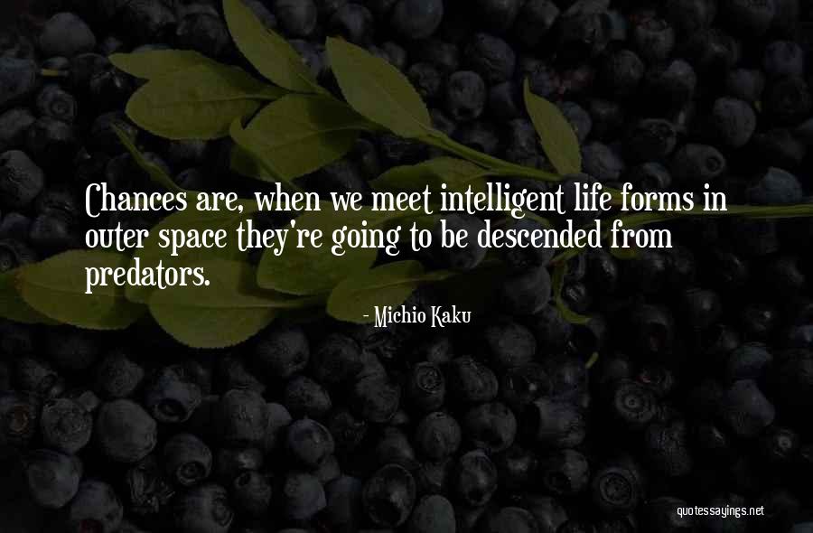 Meet Me Under The Moon Quotes By Michio Kaku