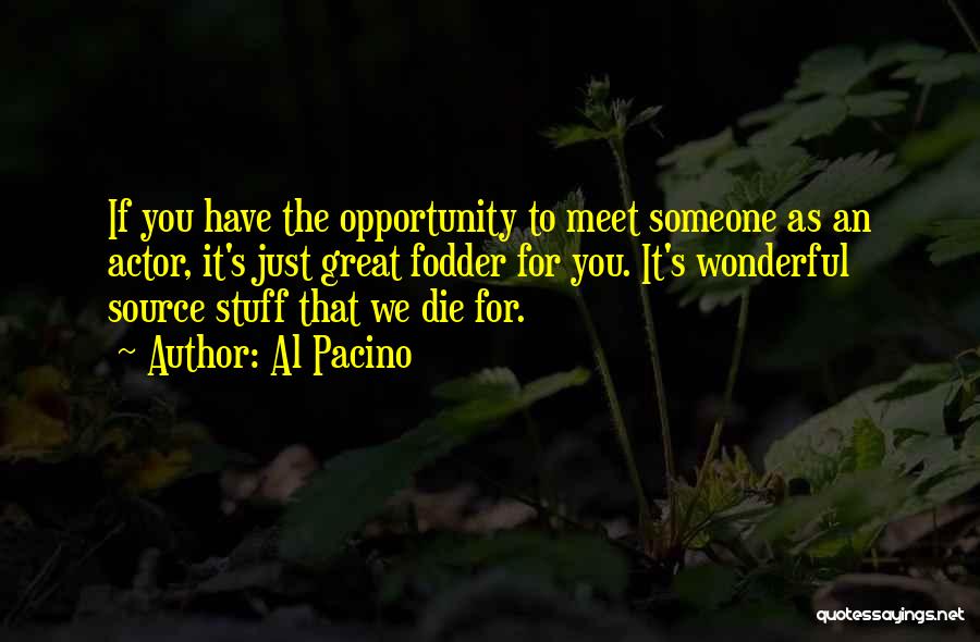 Meet Someone Quotes By Al Pacino