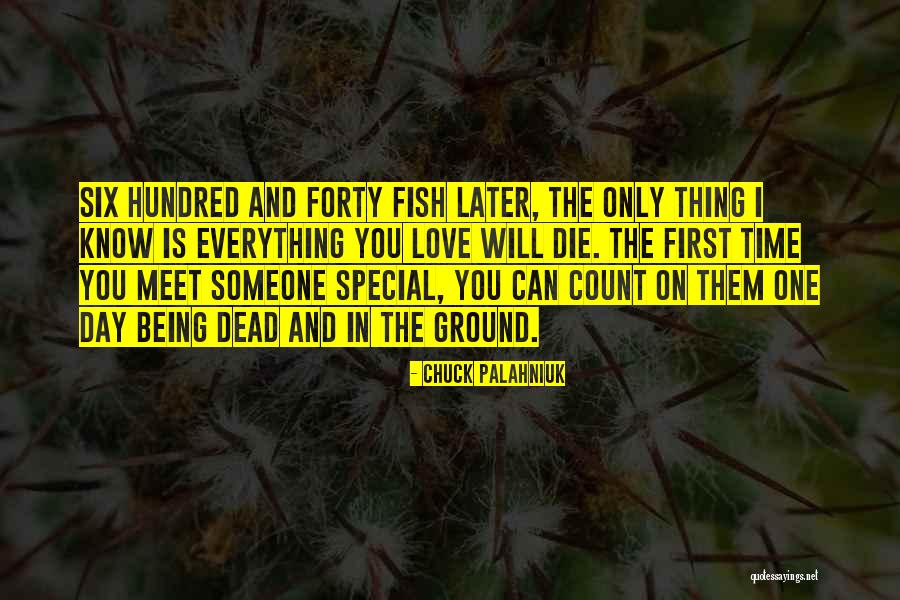Meet Someone Special Quotes By Chuck Palahniuk Meet Someone Special Quotes By Chuck Palahniuk
