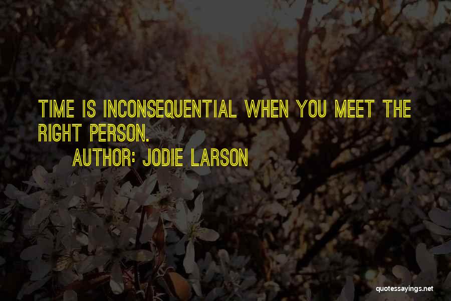 Meet The Right Person Quotes By Jodie Larson