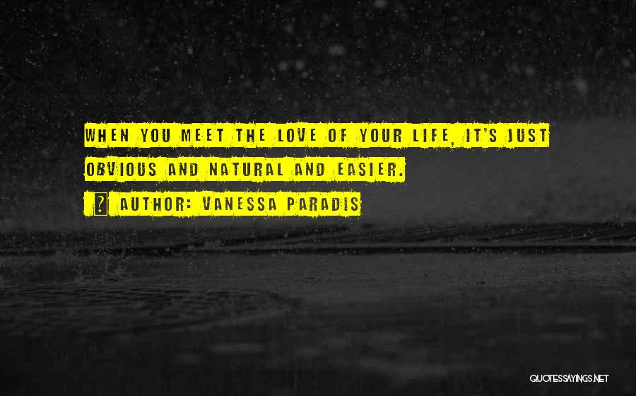 Meet You Love Quotes By Vanessa Paradis