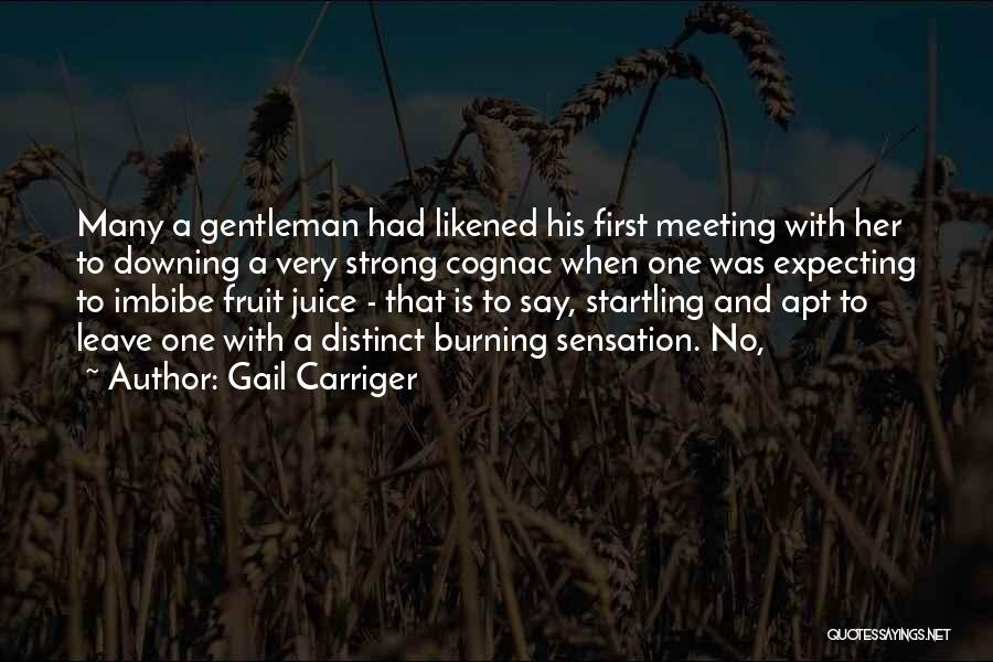 Meeting A Gentleman Quotes By Gail Carriger