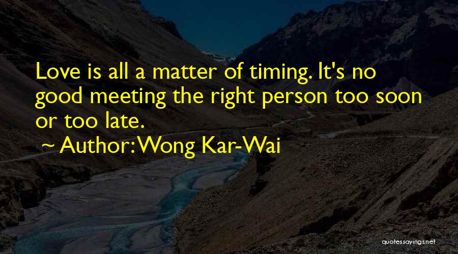 Meeting A Good Person Quotes By Wong Kar-Wai