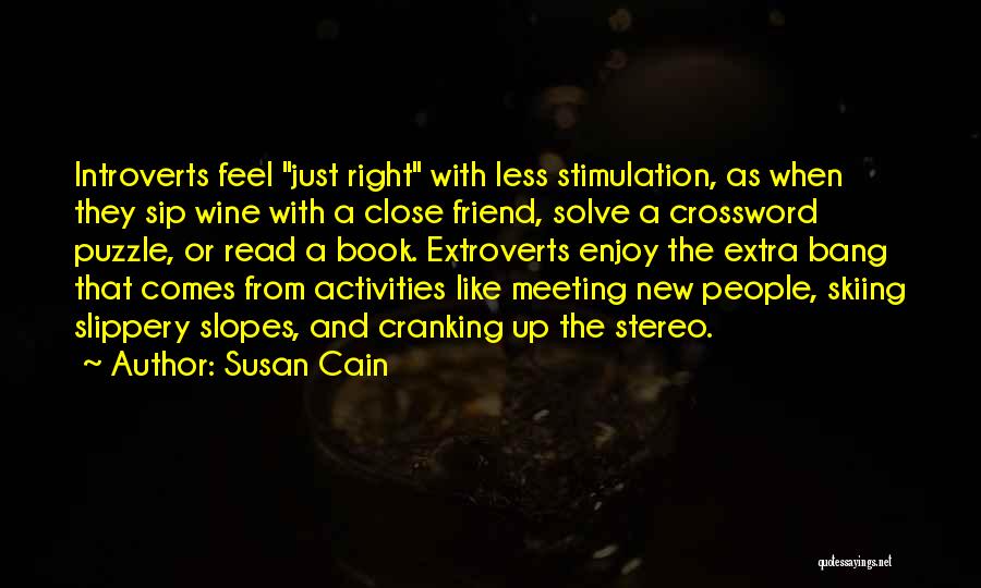 Meeting A New Best Friend Quotes By Susan Cain