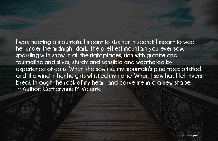 Meeting A New Love Quotes By Catherynne M Valente