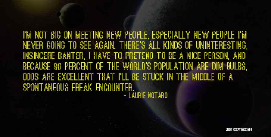 Meeting A Nice Person Quotes By Laurie Notaro