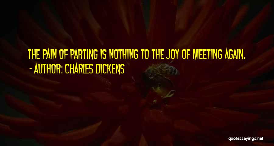 Meeting Again Quotes By Charles Dickens