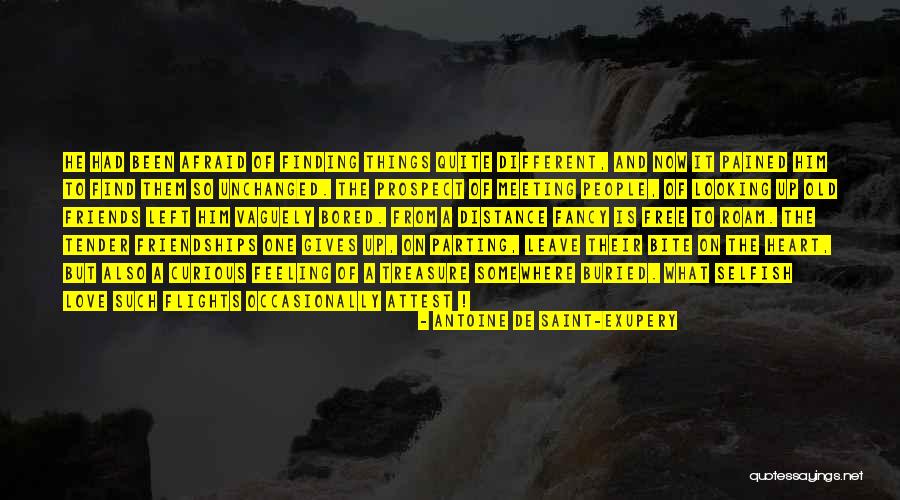 Meeting An Old Love Quotes By Antoine De Saint-Exupery Meeting An Old Love Quotes By Antoine De Saint-Exupery