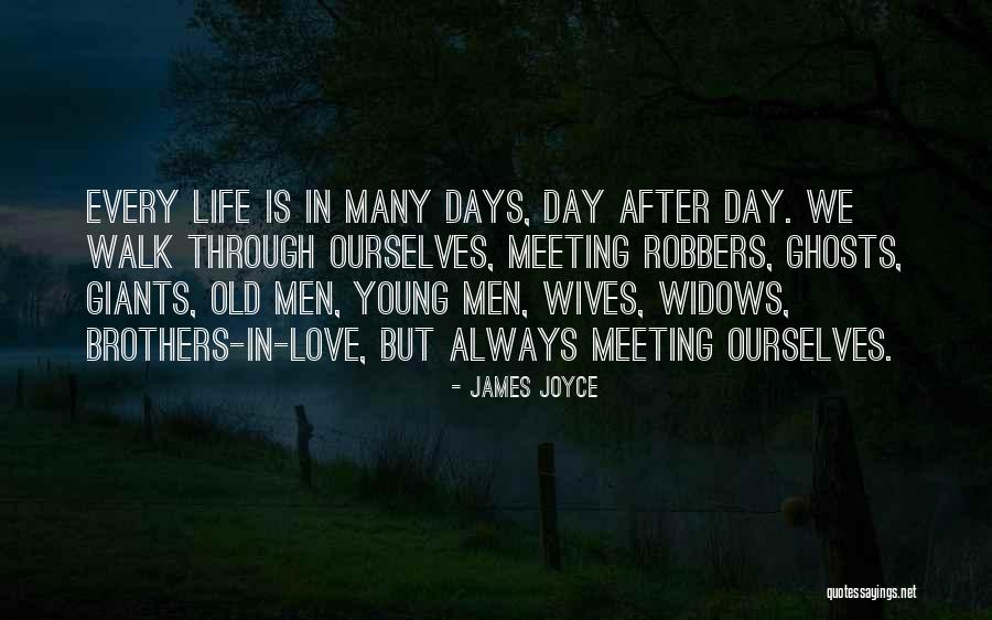 Meeting An Old Love Quotes By James Joyce