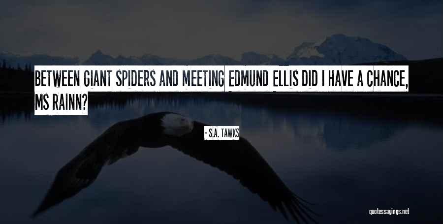 Meeting By Chance Quotes By S.A. Tawks Meeting By Chance Quotes By S.A. Tawks