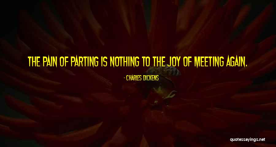 Meeting Each Other Again Quotes By Charles Dickens