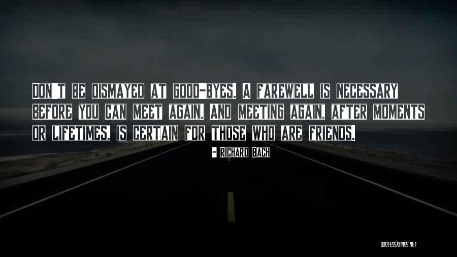 Meeting Each Other Again Quotes By Richard Bach