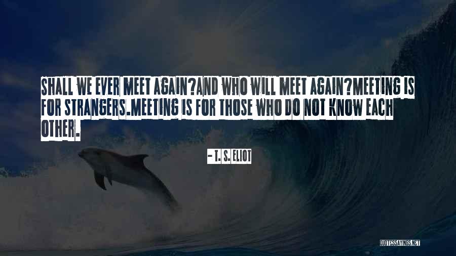 Meeting Each Other Again Quotes By T. S. Eliot