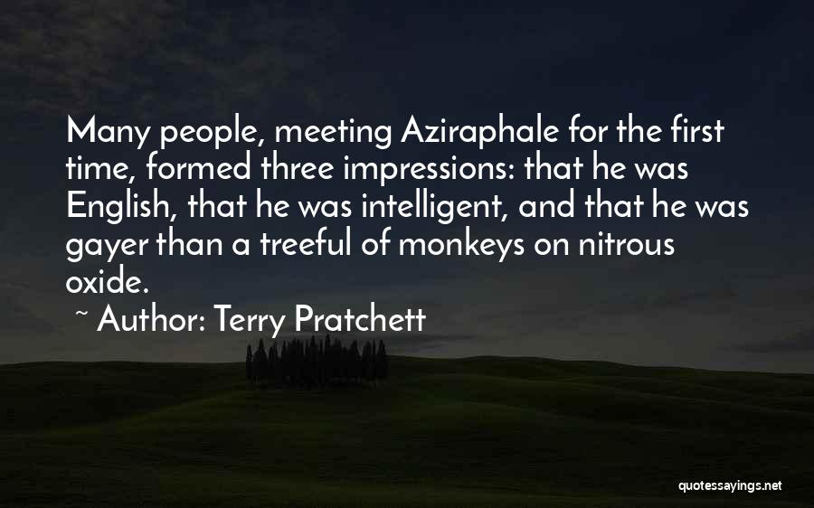 Meeting For The First Time Quotes By Terry Pratchett