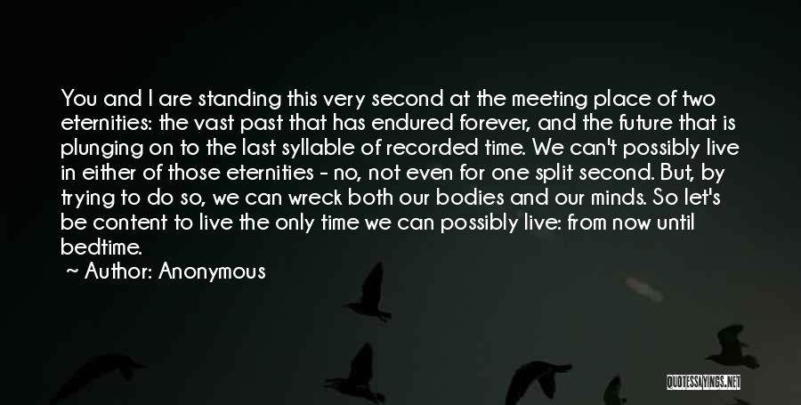 Meeting For The Last Time Quotes By Anonymous