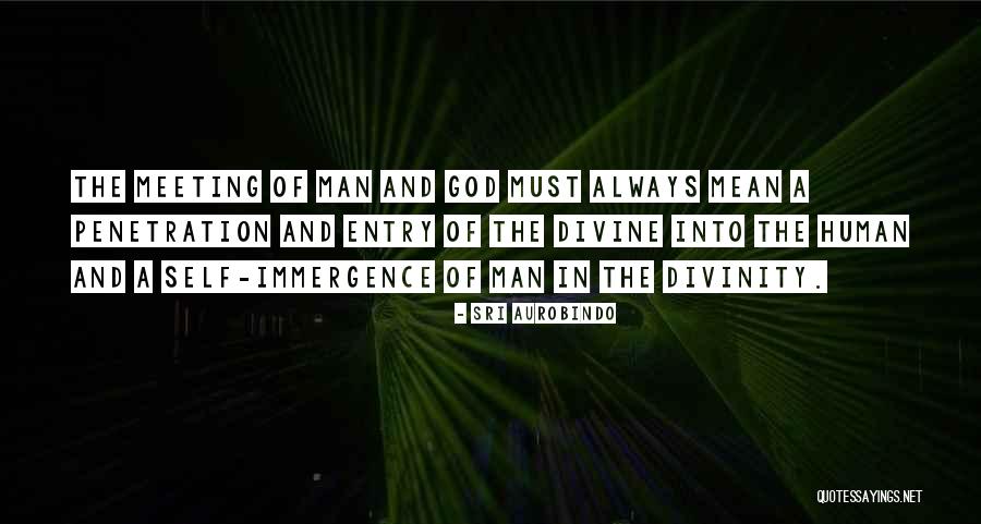 Meeting God Quotes By Sri Aurobindo Meeting God Quotes By Sri Aurobindo