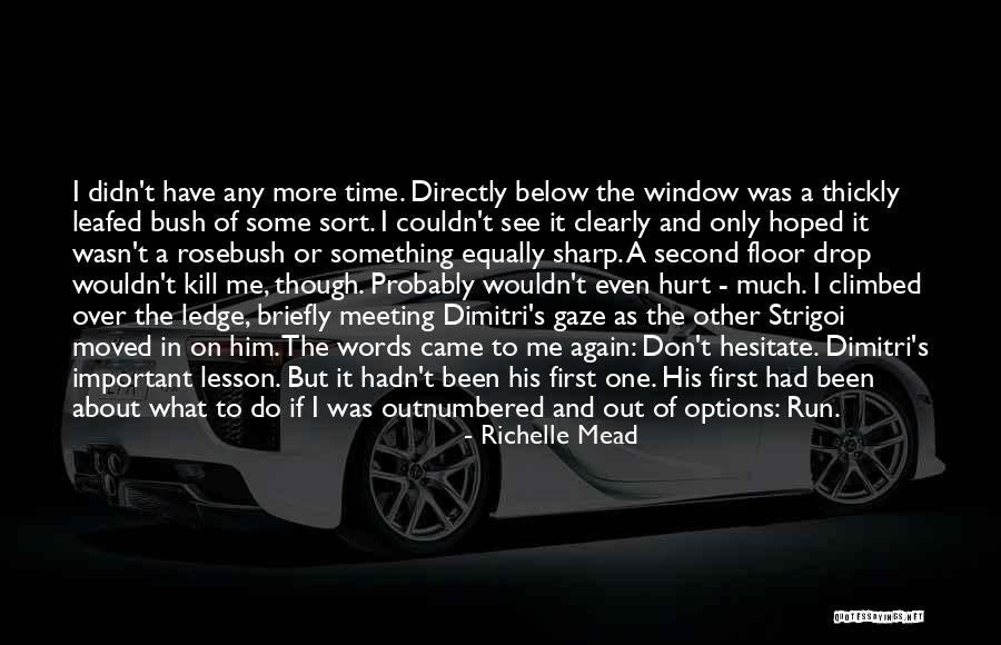 Meeting Him For The First Time Quotes By Richelle Mead Meeting Him For The First Time Quotes By Richelle Mead