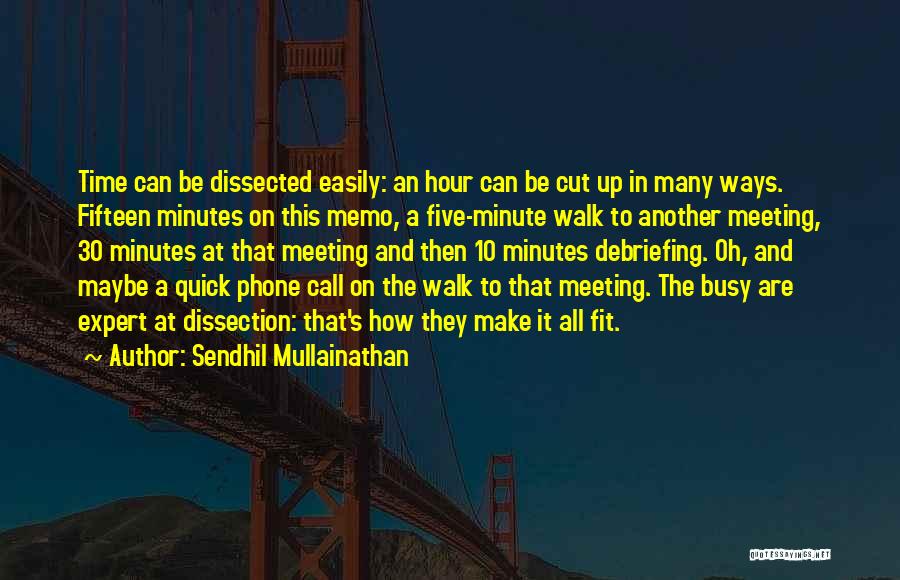 Meeting Minutes Quotes By Sendhil Mullainathan