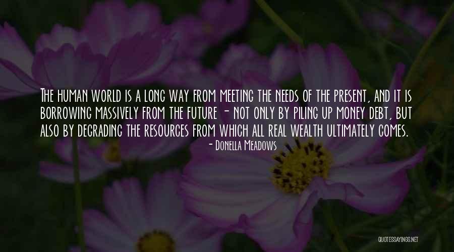 Meeting Needs Quotes By Donella Meadows Meeting Needs Quotes By Donella Meadows