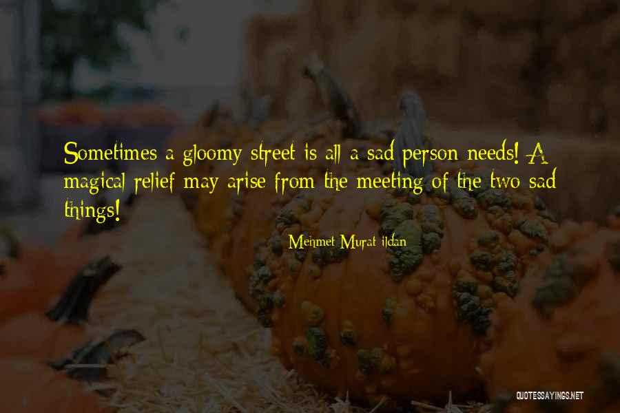 Meeting Needs Quotes By Mehmet Murat Ildan Meeting Needs Quotes By Mehmet Murat Ildan