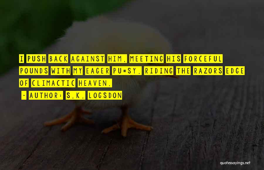 Meeting Someone In Heaven Quotes By S.K. Logsdon