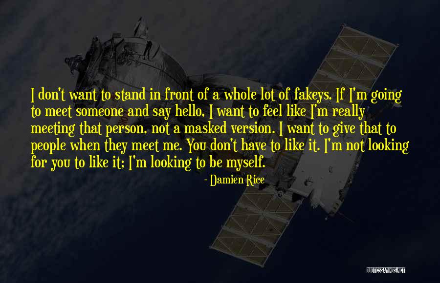 Meeting Someone Like You Quotes By Damien Rice