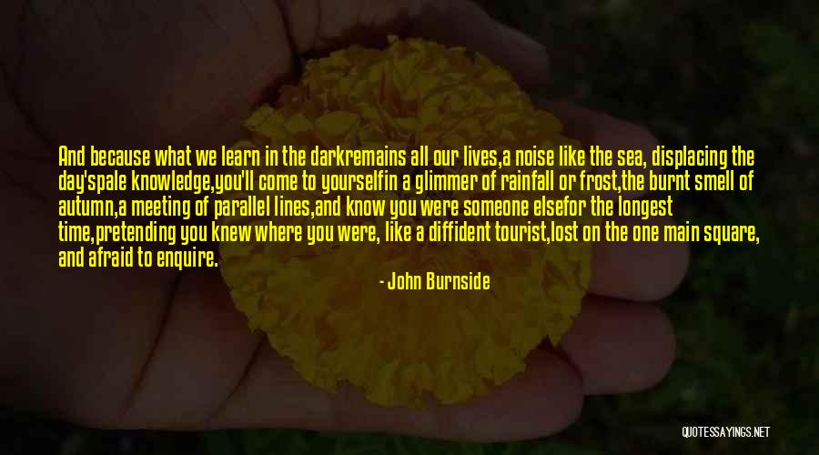 Meeting Someone Like You Quotes By John Burnside