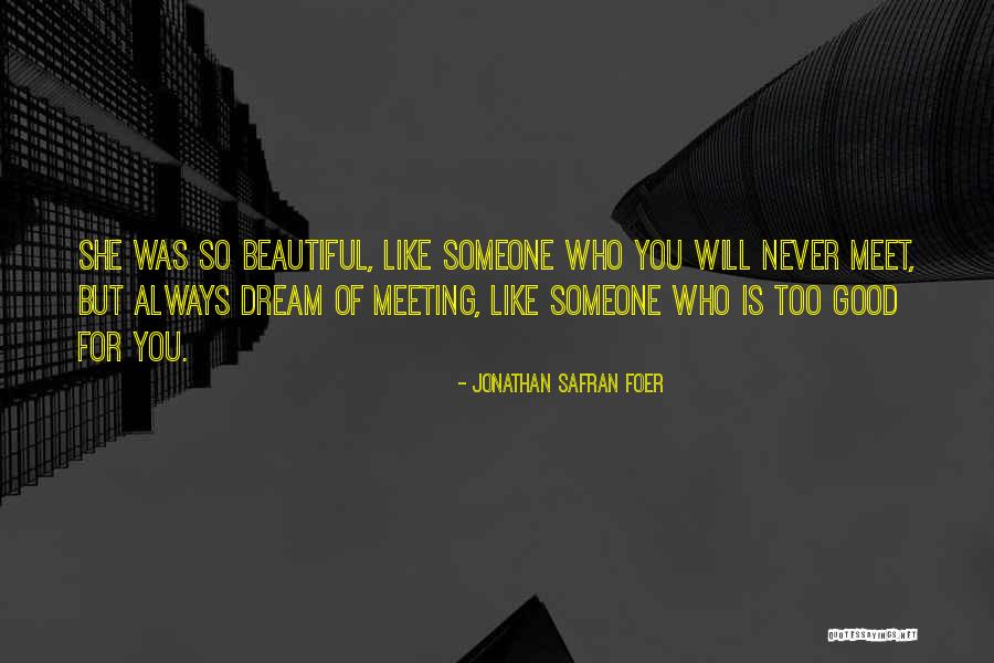 Meeting Someone Like You Quotes By Jonathan Safran Foer