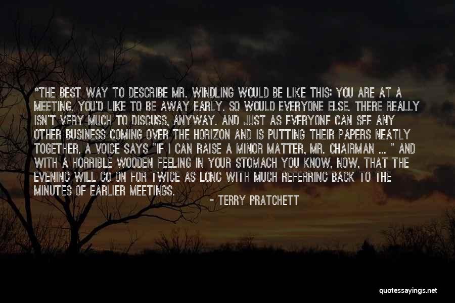 Meeting Someone Like You Quotes By Terry Pratchett