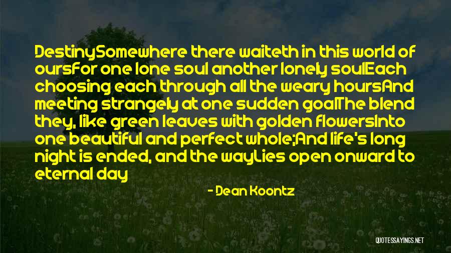 Meeting Someone Perfect For You Quotes By Dean Koontz Meeting Someone Perfect For You Quotes By Dean Koontz