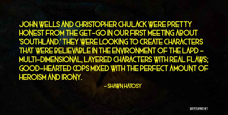 Meeting Someone Perfect For You Quotes By Shawn Hatosy Meeting Someone Perfect For You Quotes By Shawn Hatosy