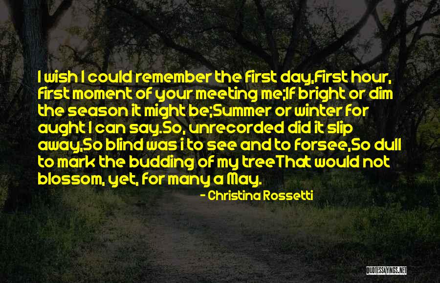 Meeting Someone Someday Quotes By Christina Rossetti