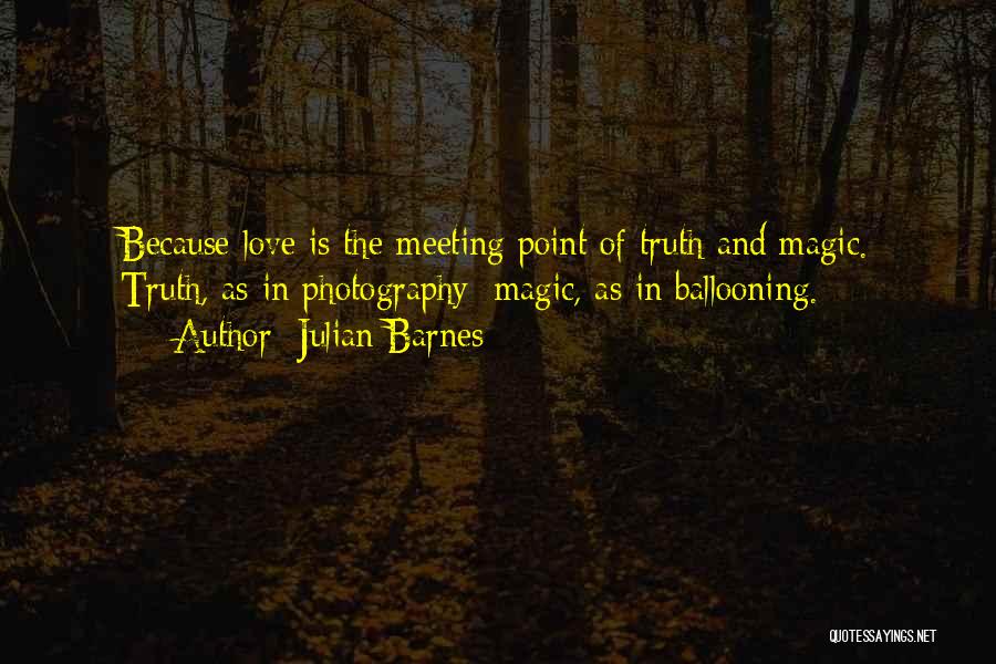 Meeting Someone You Love Quotes By Julian Barnes