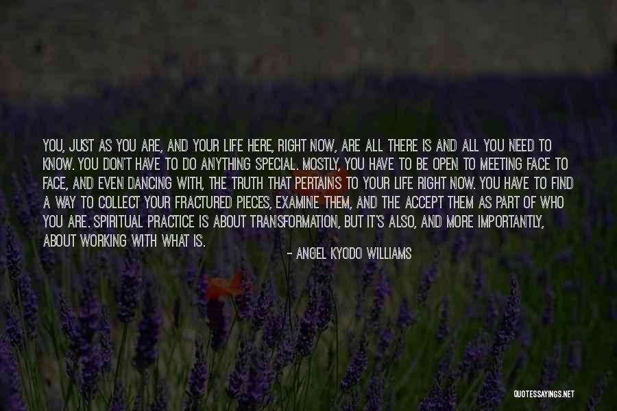 Meeting That Special Someone Quotes By Angel Kyodo Williams Meeting That Special Someone Quotes By Angel Kyodo Williams