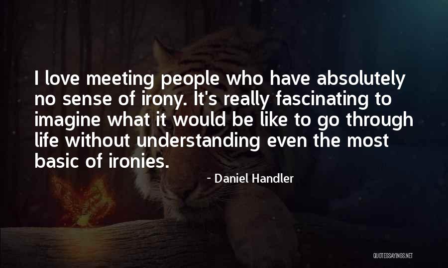 Meeting The Love Of My Life Quotes By Daniel Handler Meeting The Love Of My Life Quotes By Daniel Handler