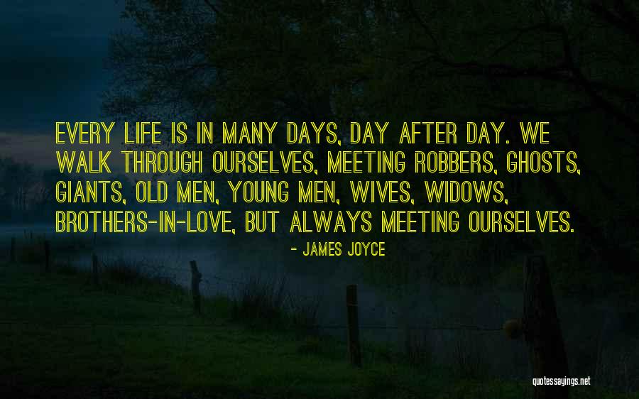 Meeting The Love Of My Life Quotes By James Joyce Meeting The Love Of My Life Quotes By James Joyce