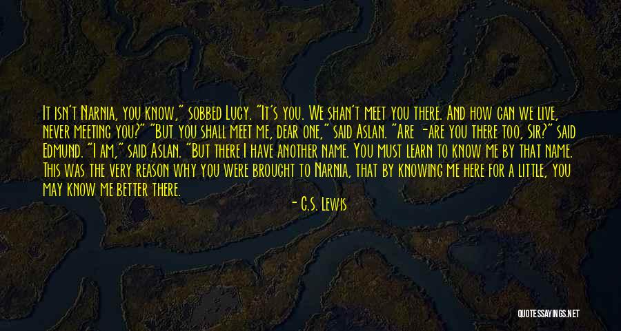 Meeting The One Quotes By C.S. Lewis