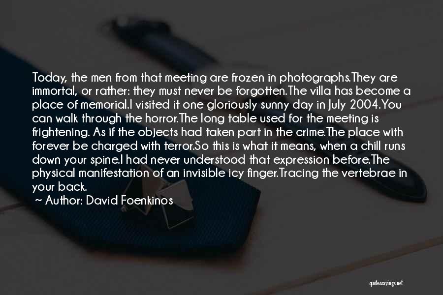 Meeting The One Quotes By David Foenkinos